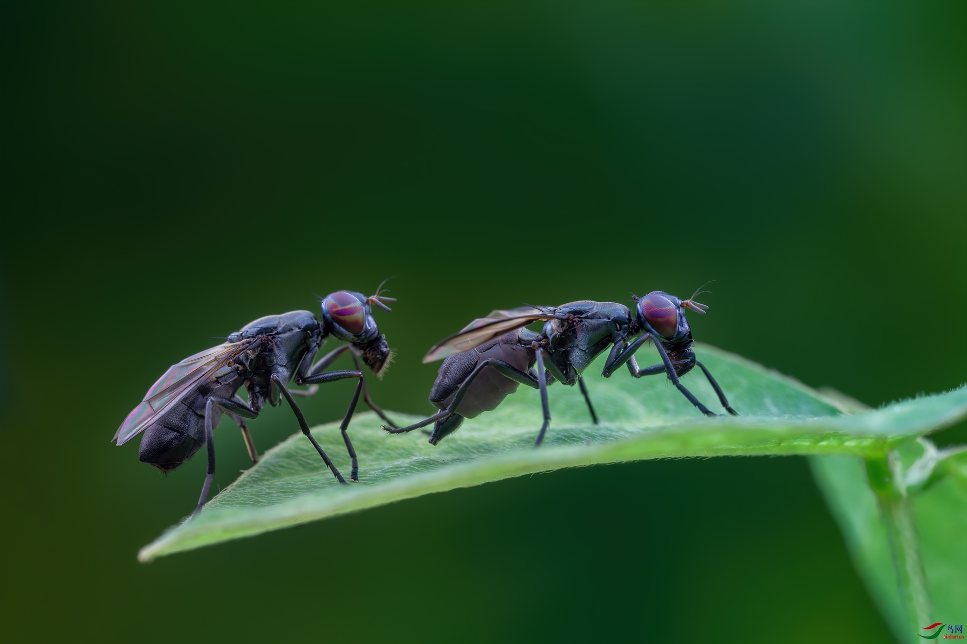 _G3A9804-1.jpg