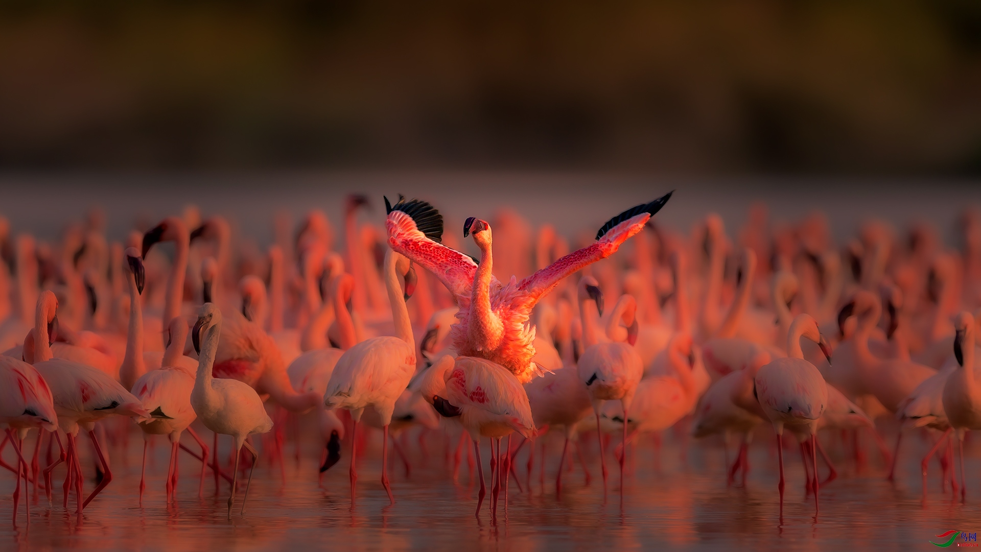 _C0R5493-1.jpg