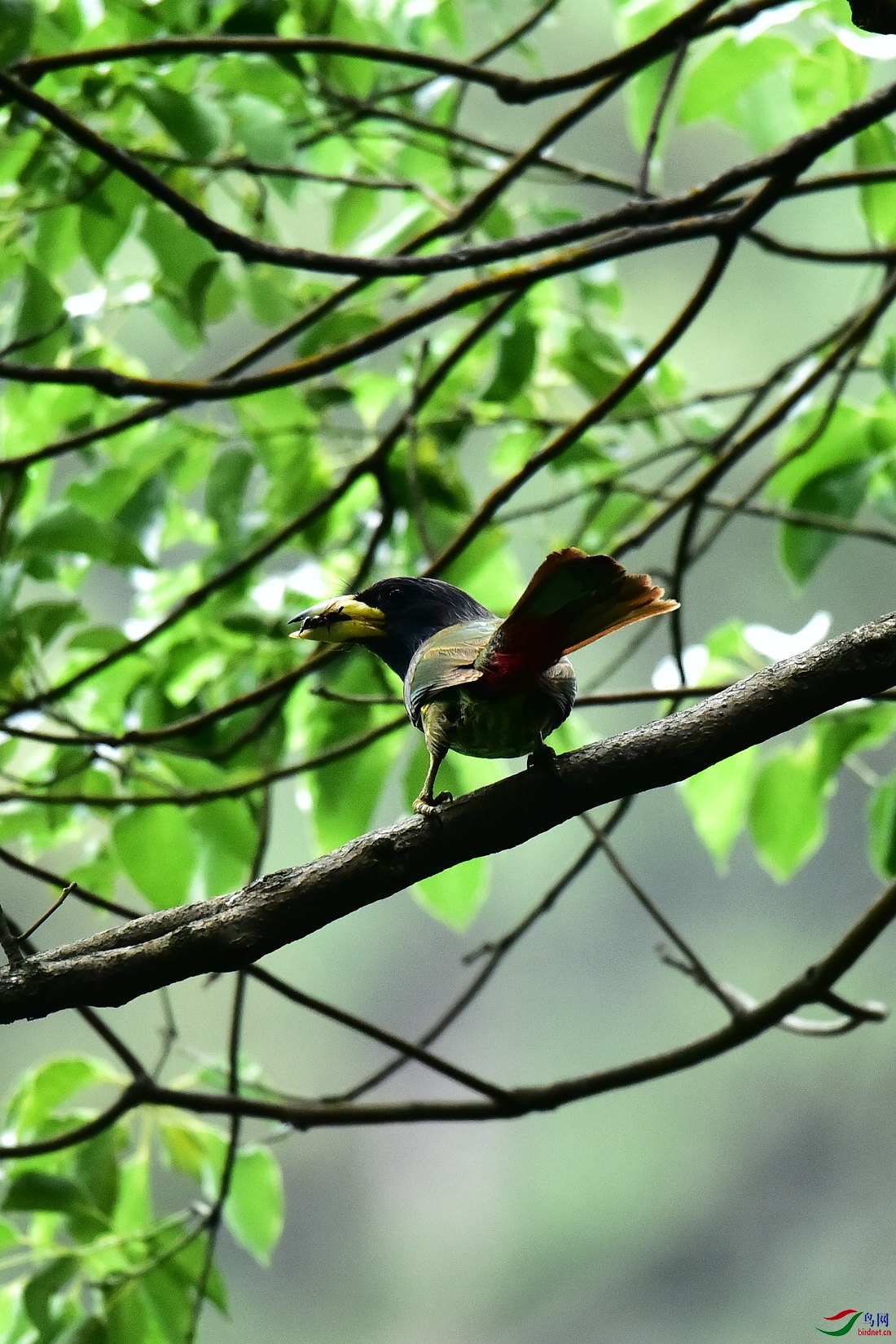 DSC_0590.JPG