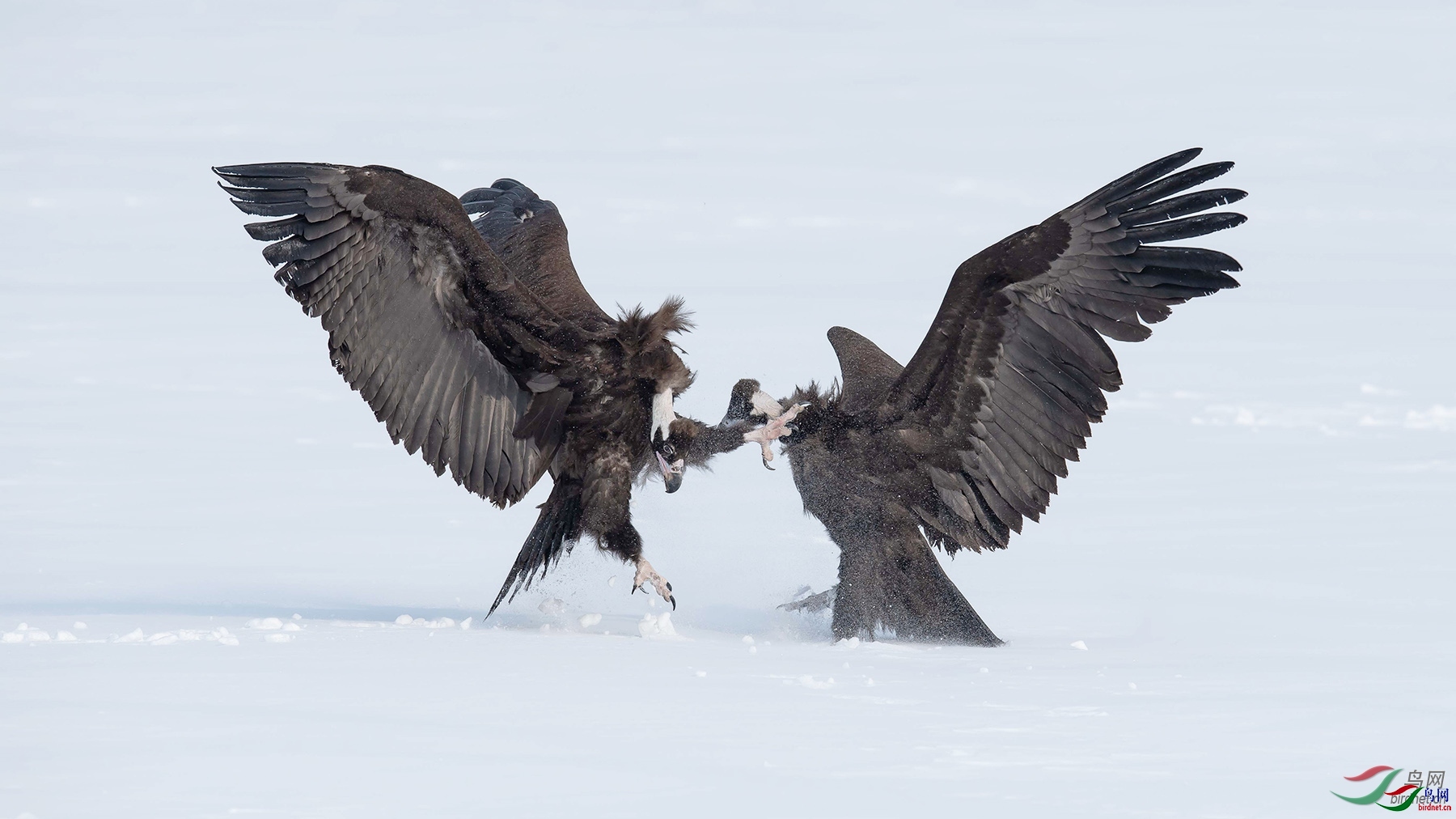 ��ʯ�� ��ʦ����.jpg