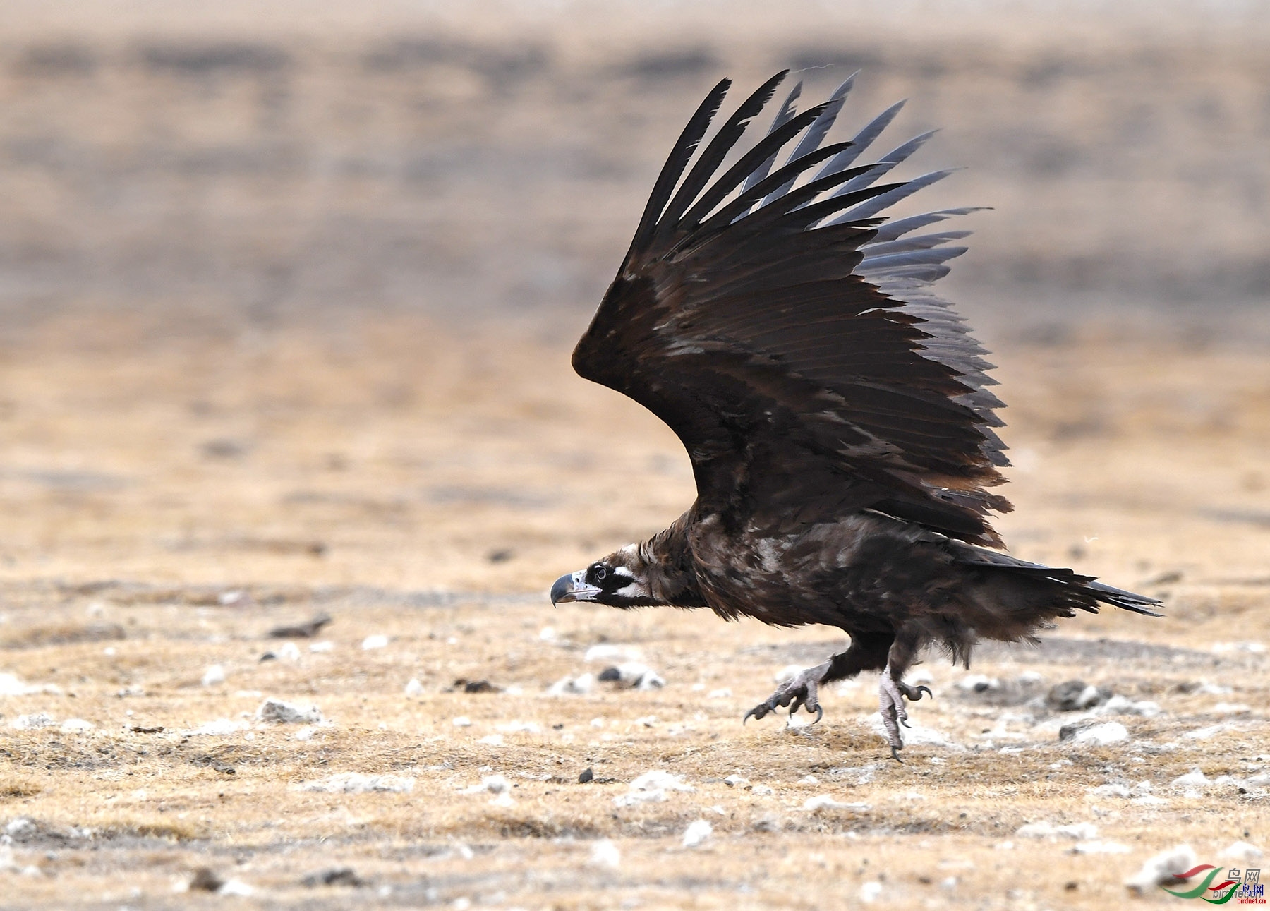 ��������  ��ʦ�������Ĵ�ʡ���Ӳ���Ǽ��������.jpg