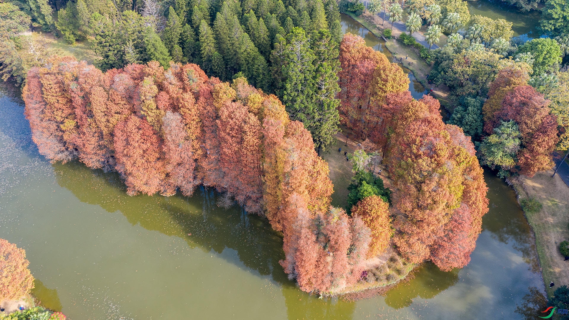 DJI_0681A.jpg