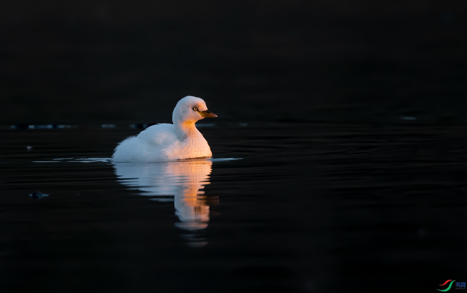 DSC_3897-(1).jpg