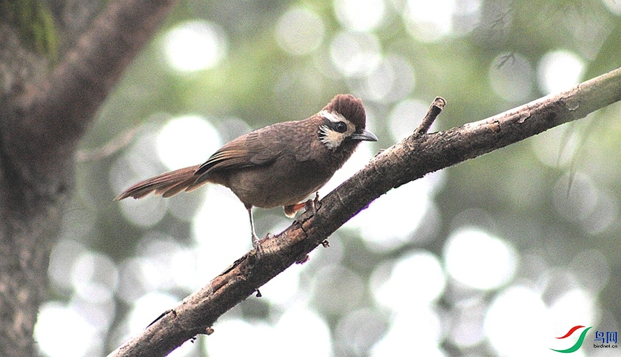 IMG_0021.JPG