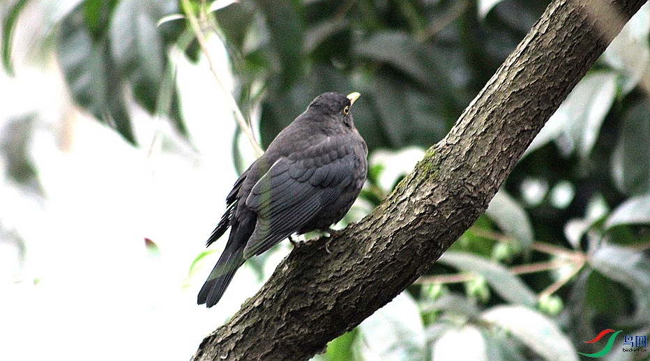 IMG_0049.JPG