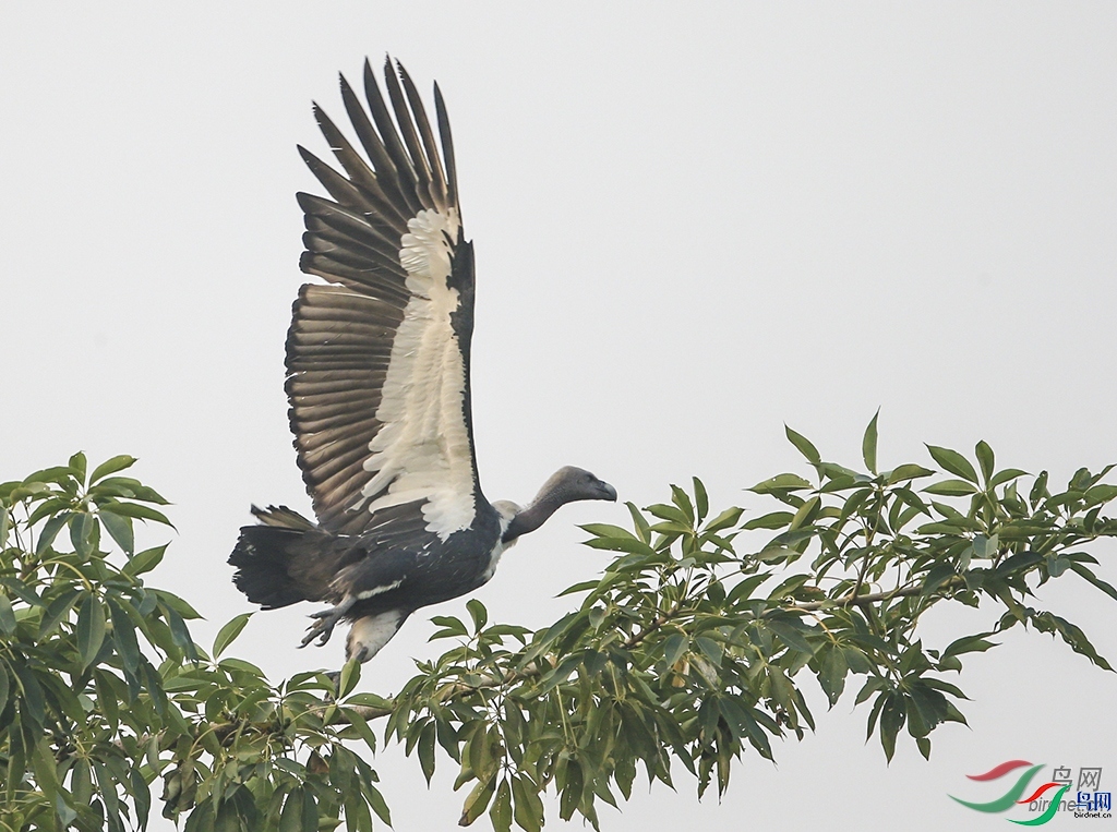 �������� ��ʦ��������������.jpg