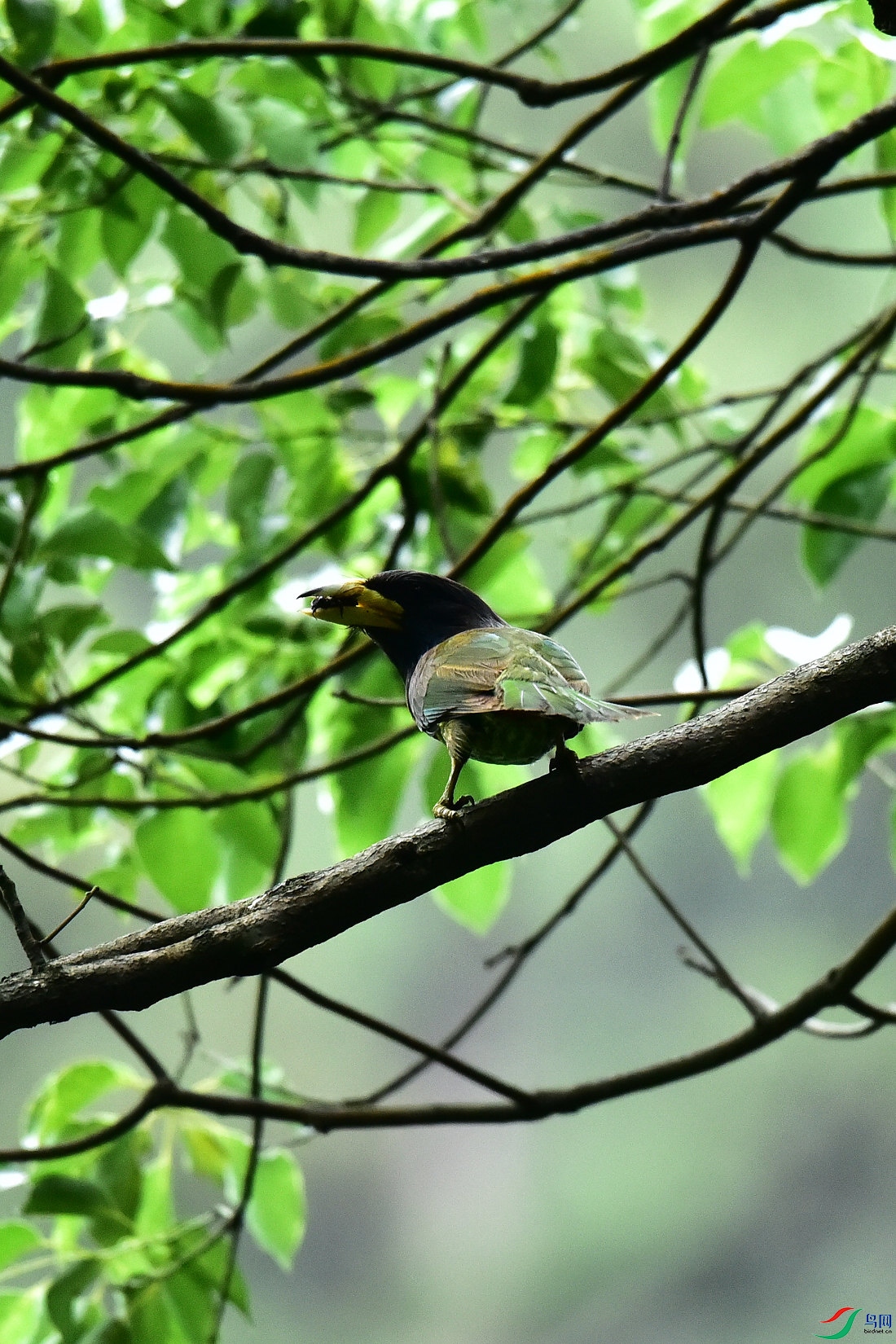 DSC_0592.JPG