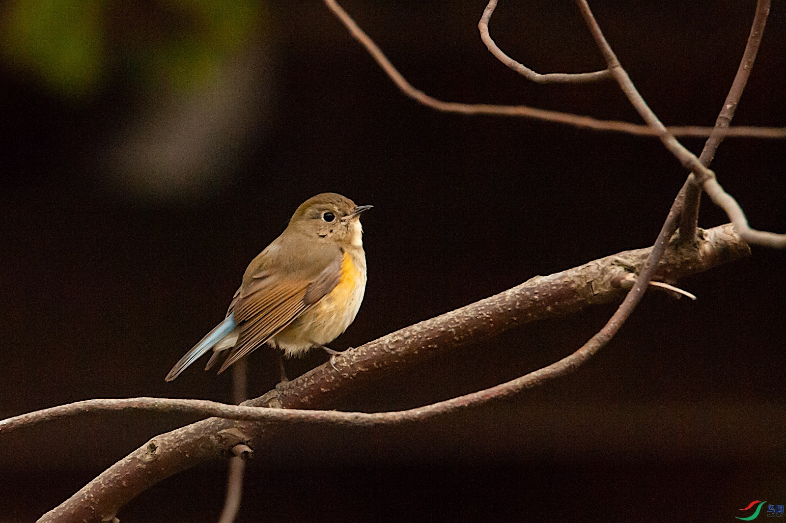 DSC_5343.jpg