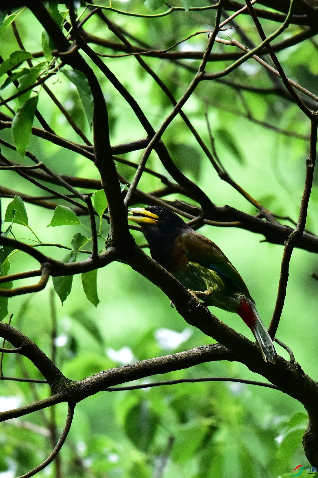 DSC_0593.JPG