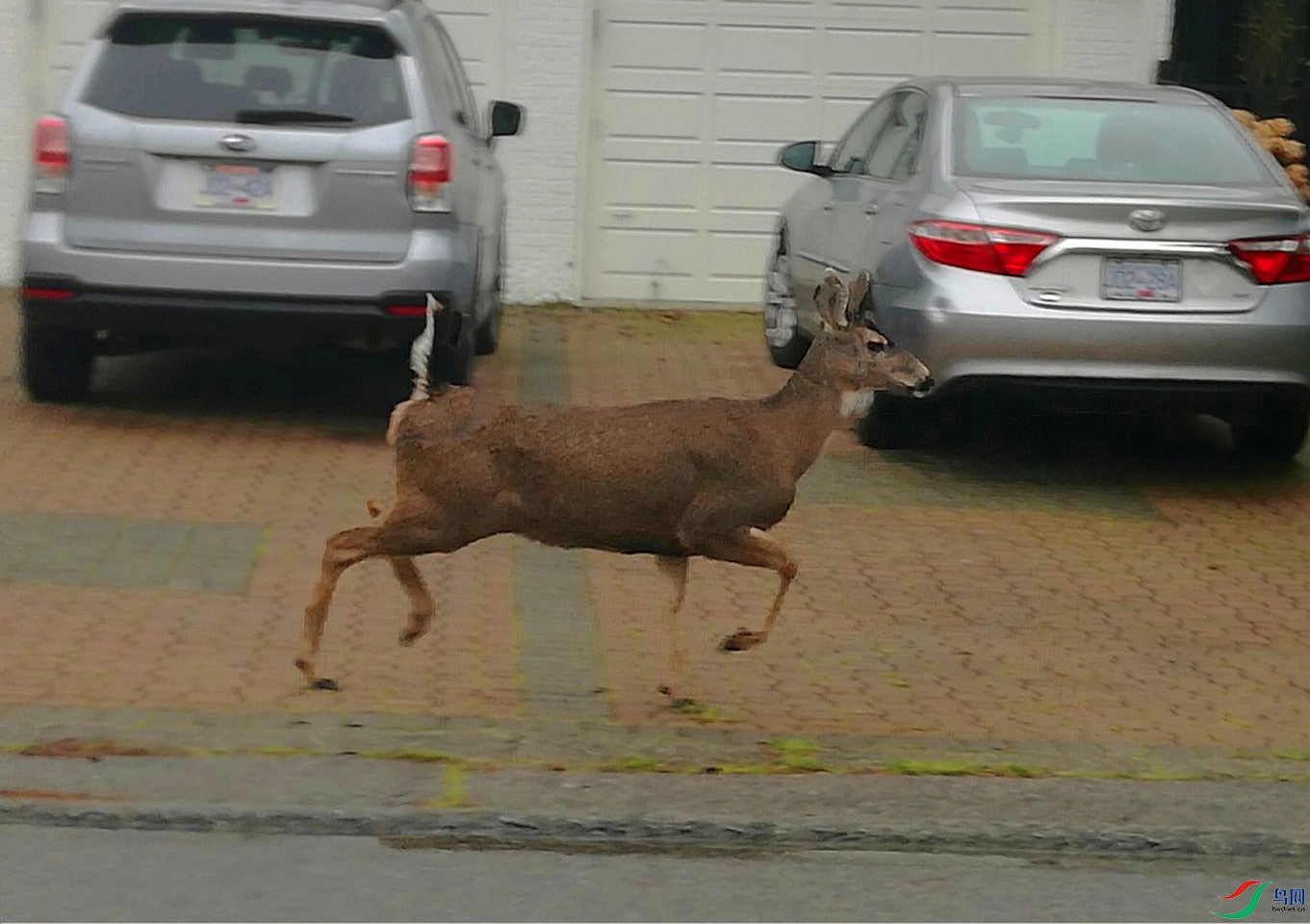 WeChat Image_20201226190435_����_����.jpg