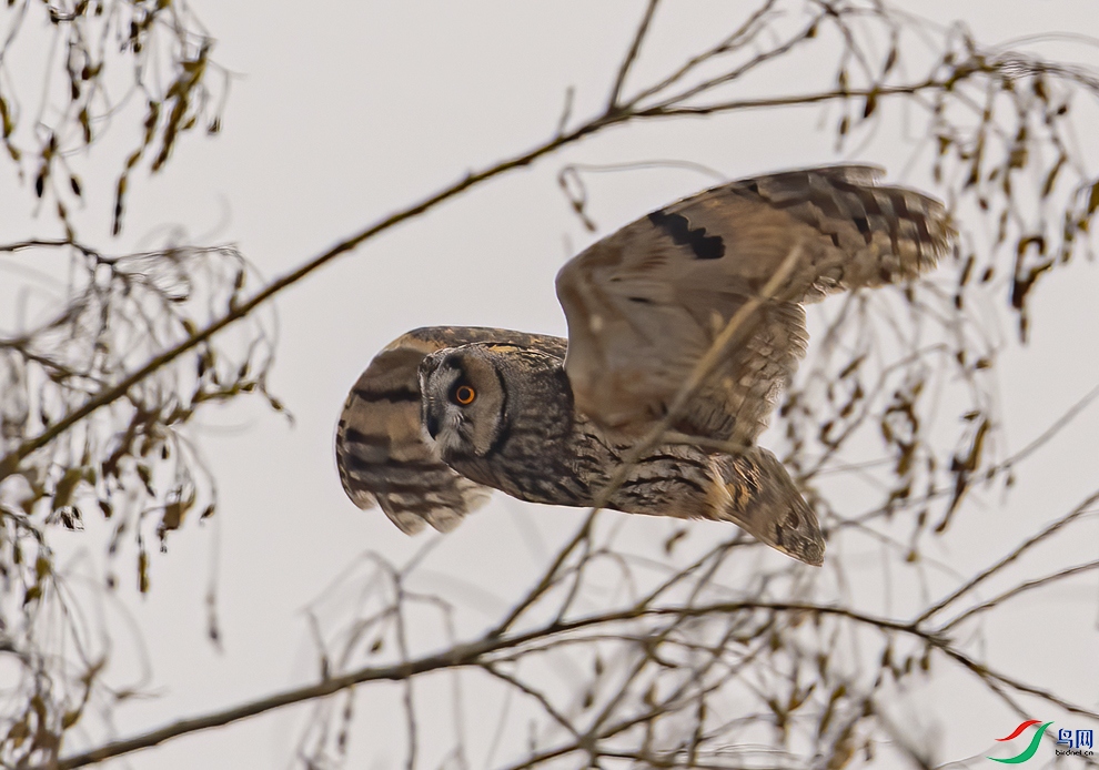 DSC_6065.jpg
