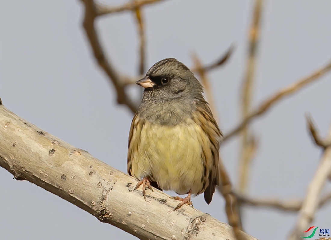 DSC_5800.jpg