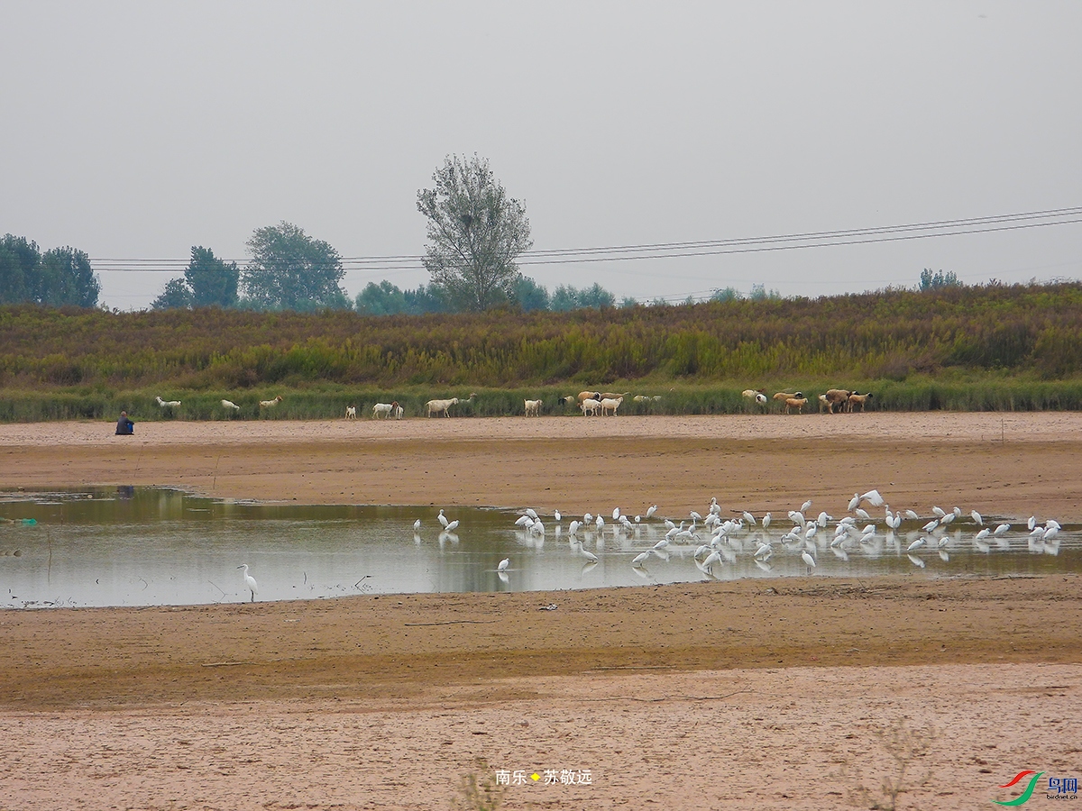 DSCN0832ССС.jpg