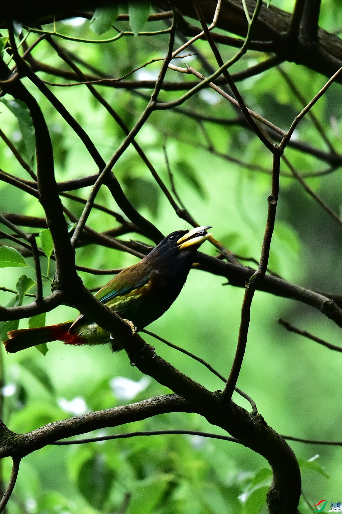 DSC_0596.JPG