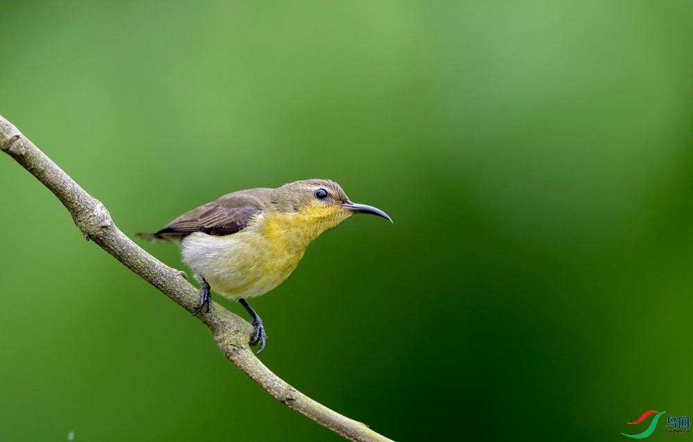 DSC_5752_��ͼ��.jpg