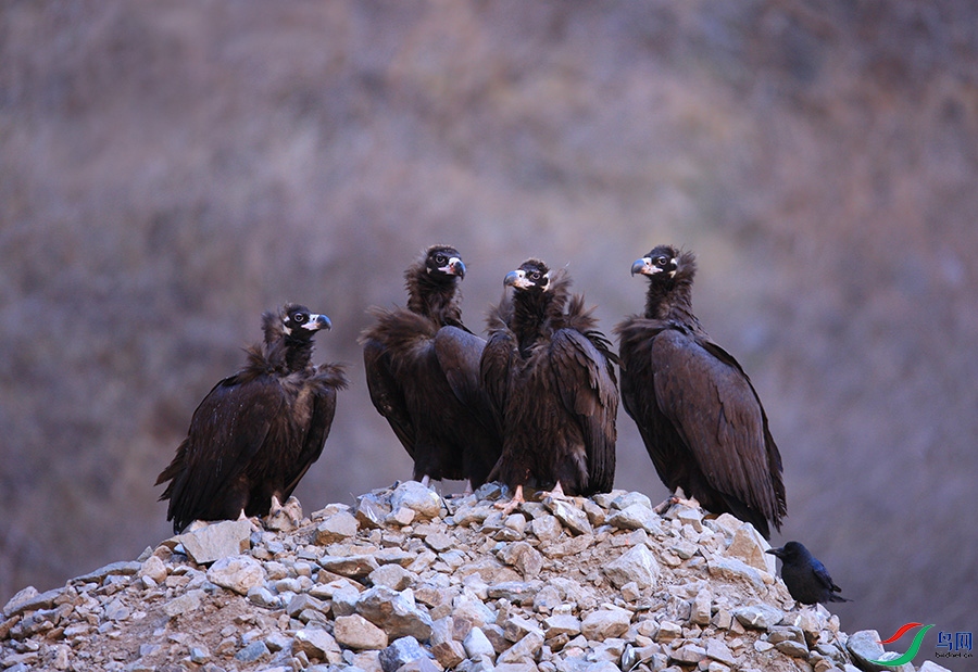 ��֮��  ��ʦ�����ڱ�������ͷ����.jpg