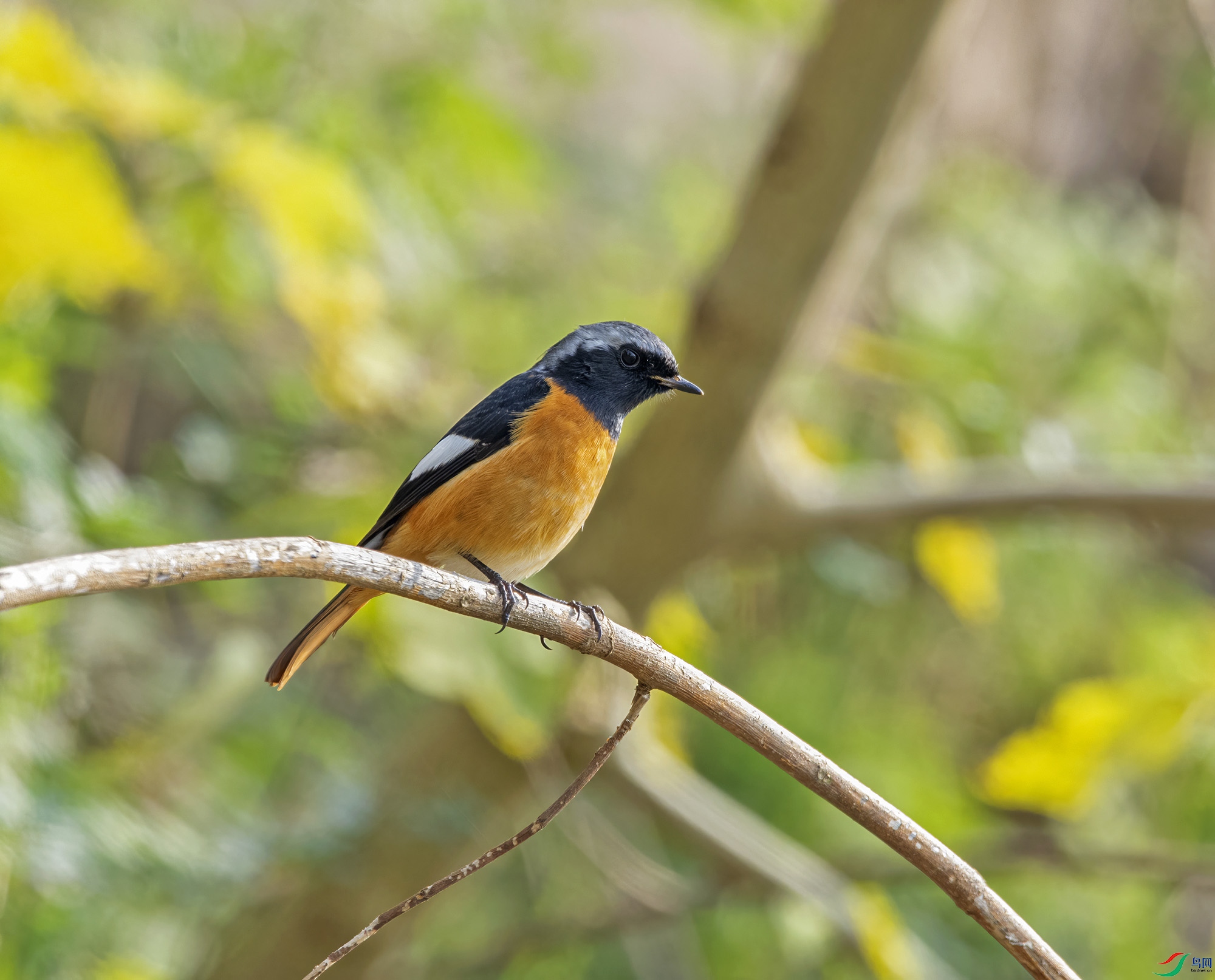 DSC_0164.jpg
