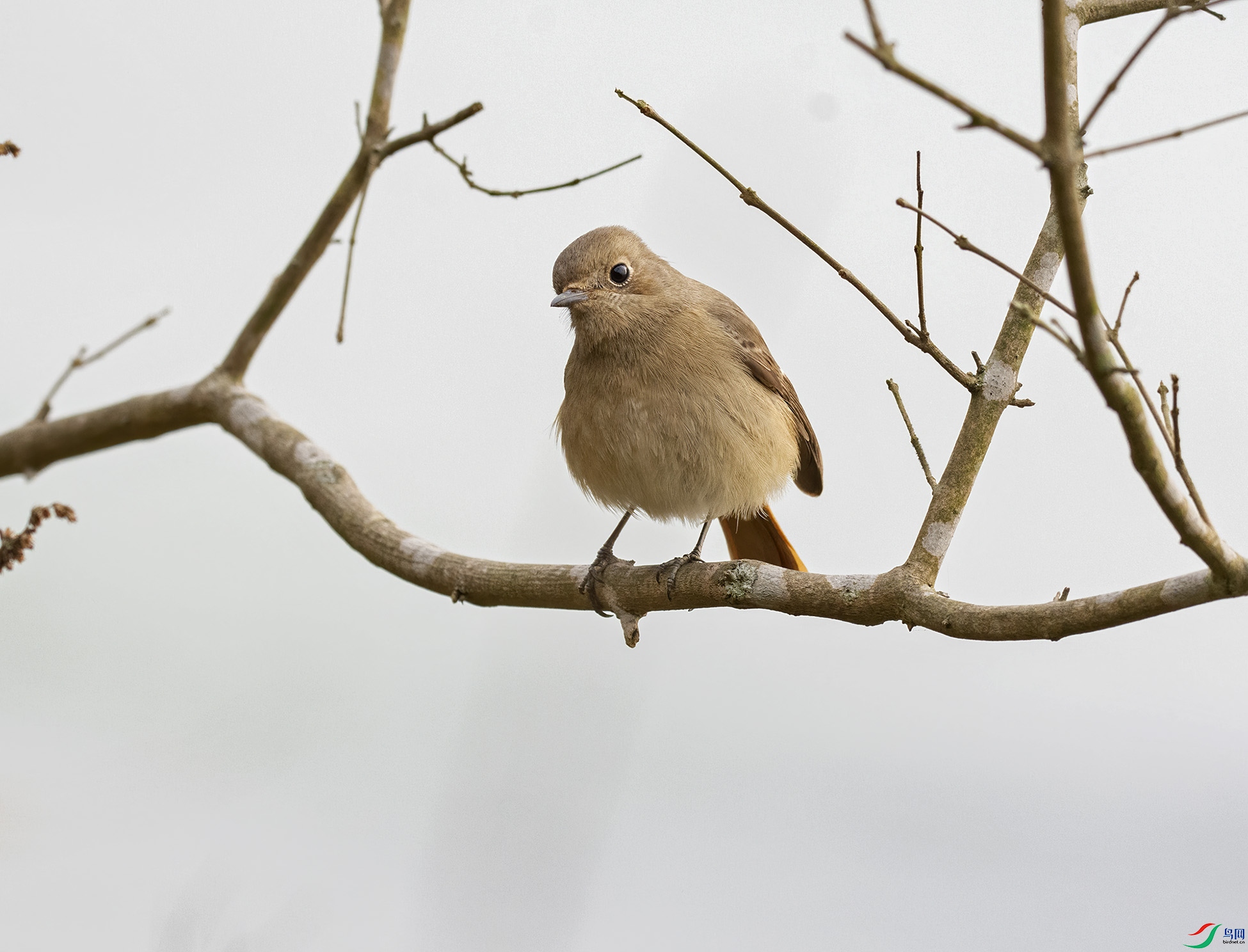 DSC_1649.jpg