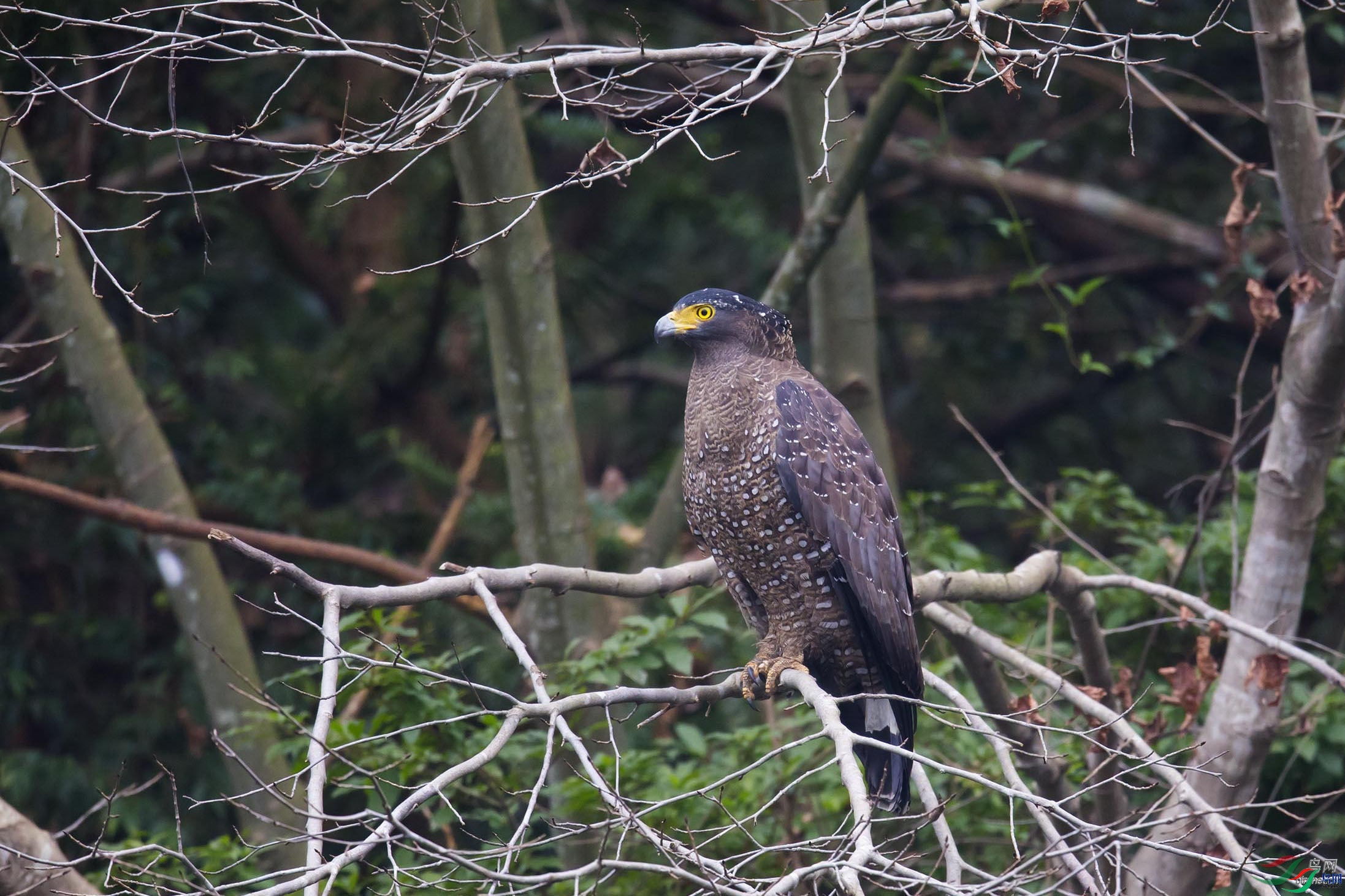 ׾�� ��ʦ�����ڵ�ʯ��.jpg