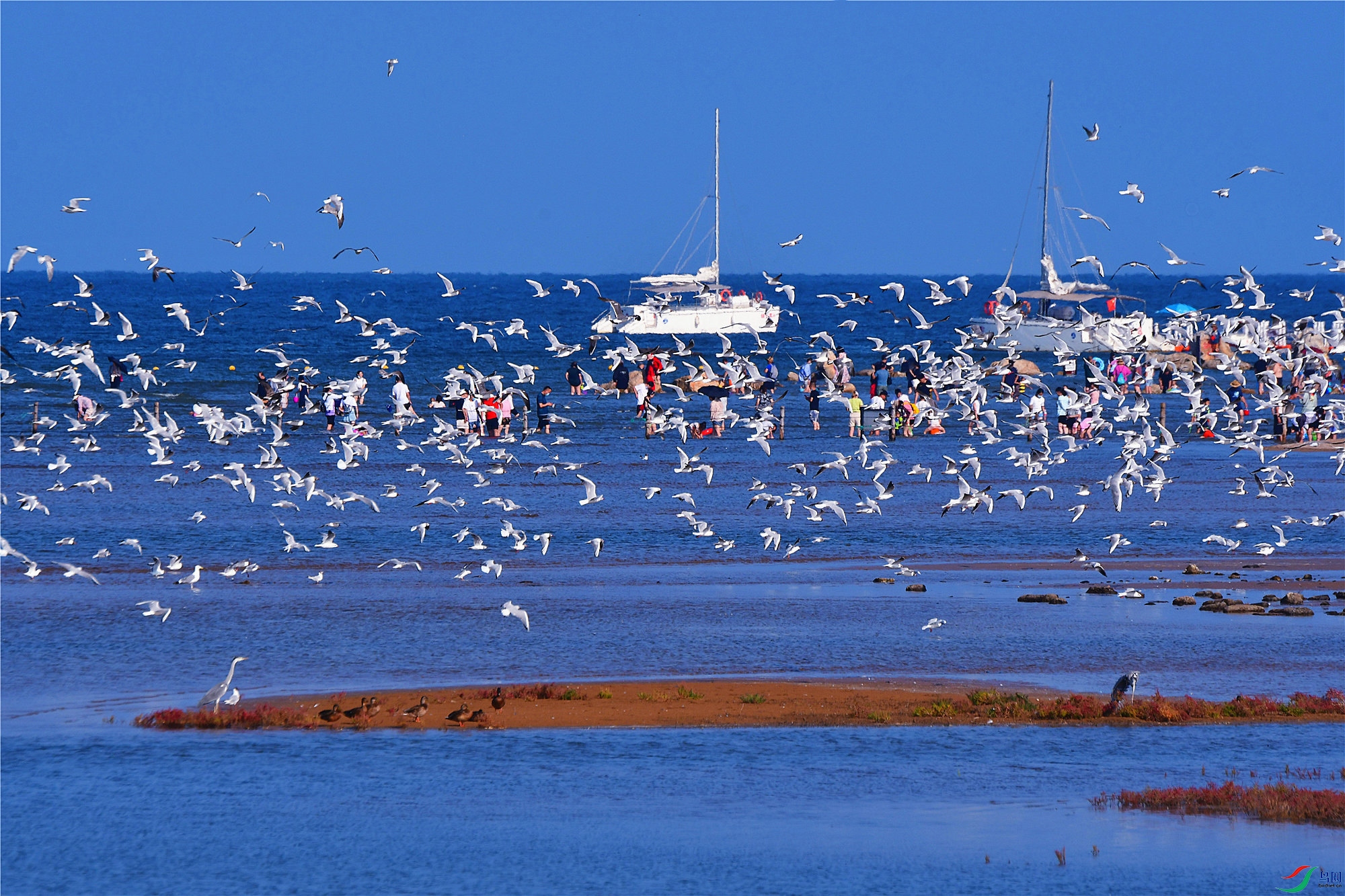 DSC_5056.JPG