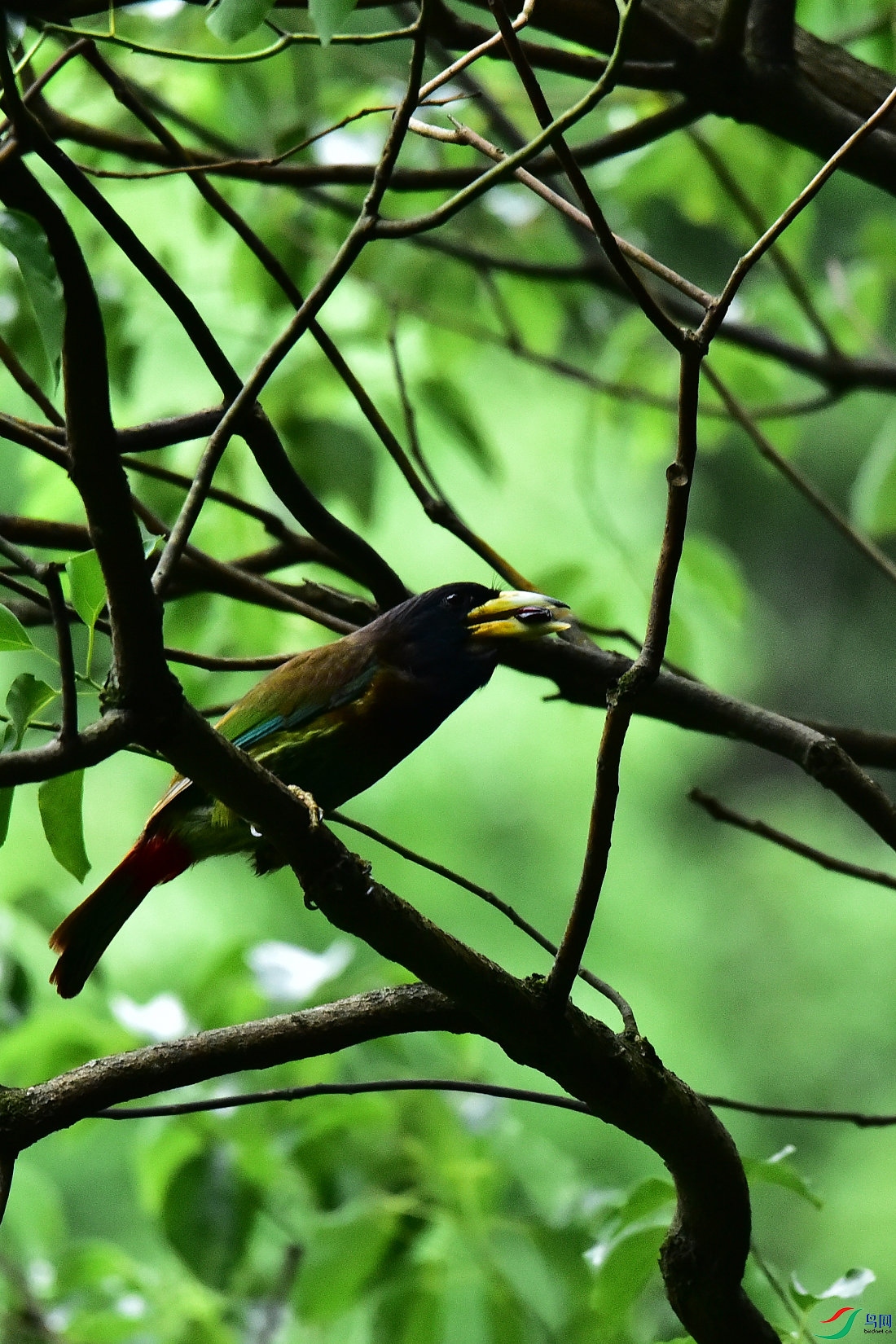 DSC_0601.JPG