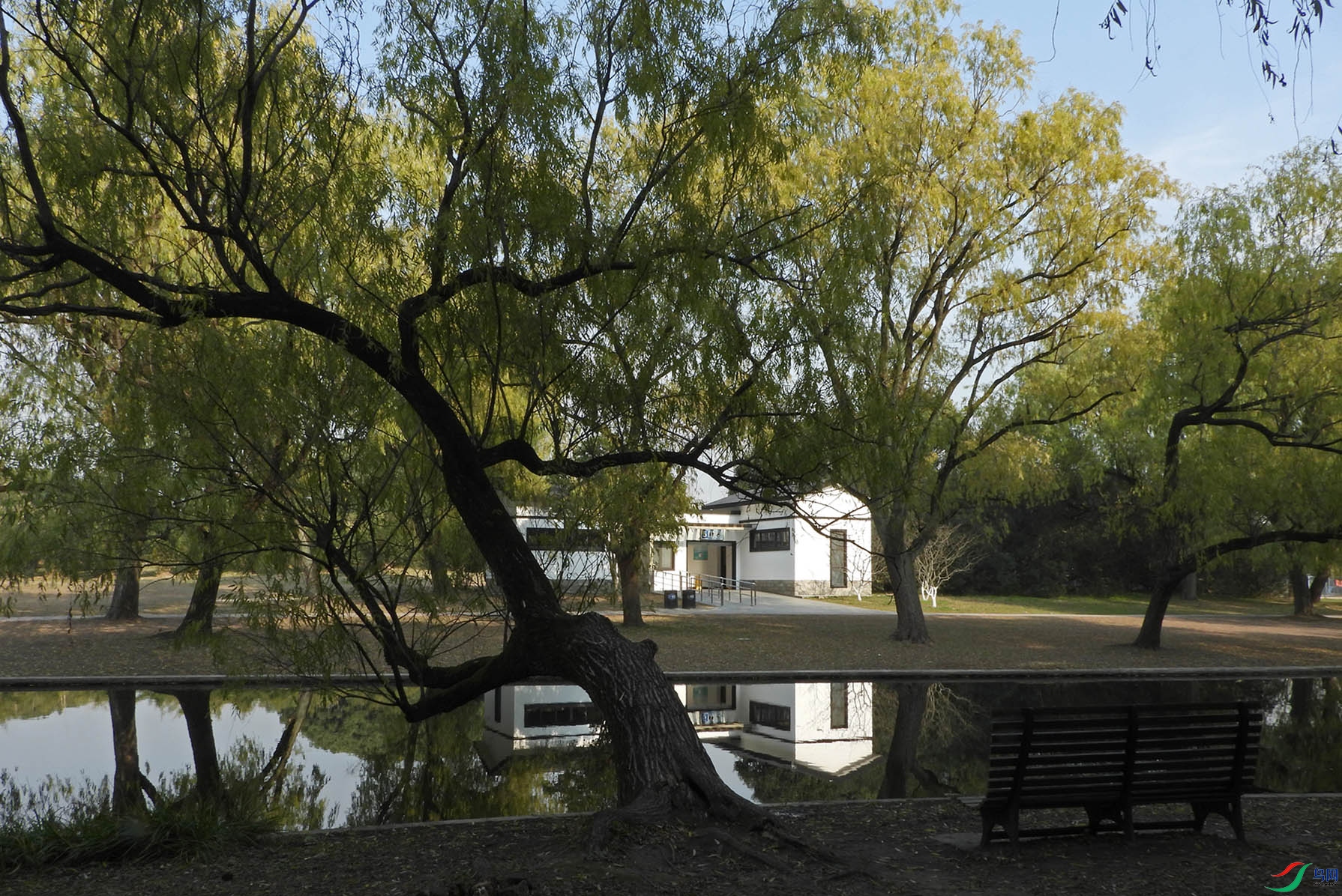 DSCN3382 ����2.jpg