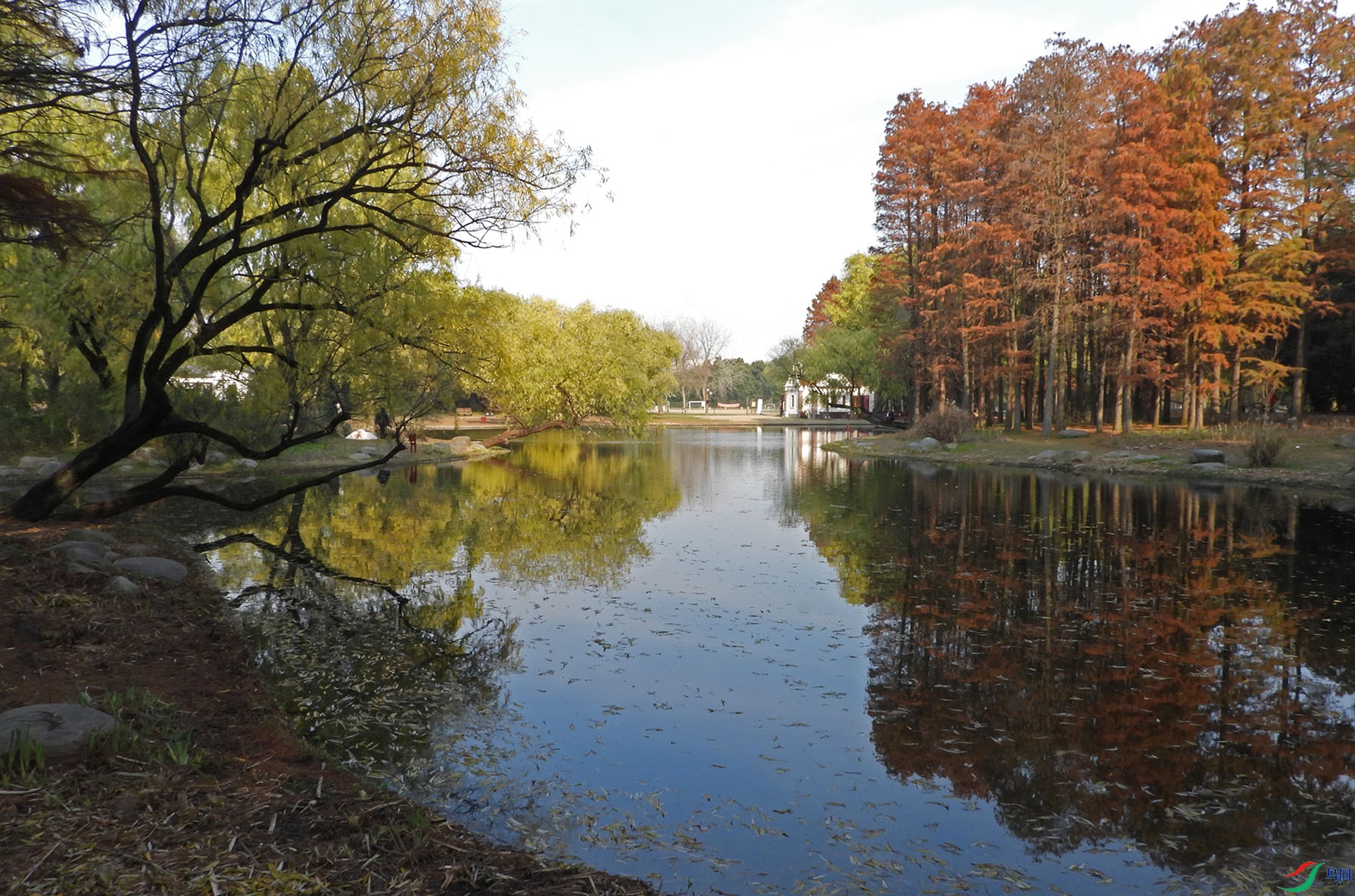 DSCN3390 ����2.jpg