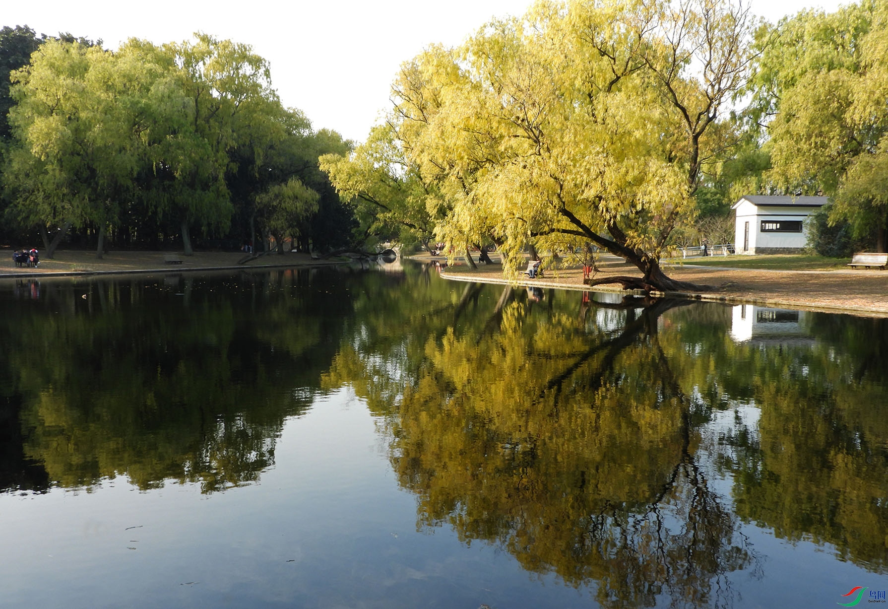 DSCN3391 ����2.jpg