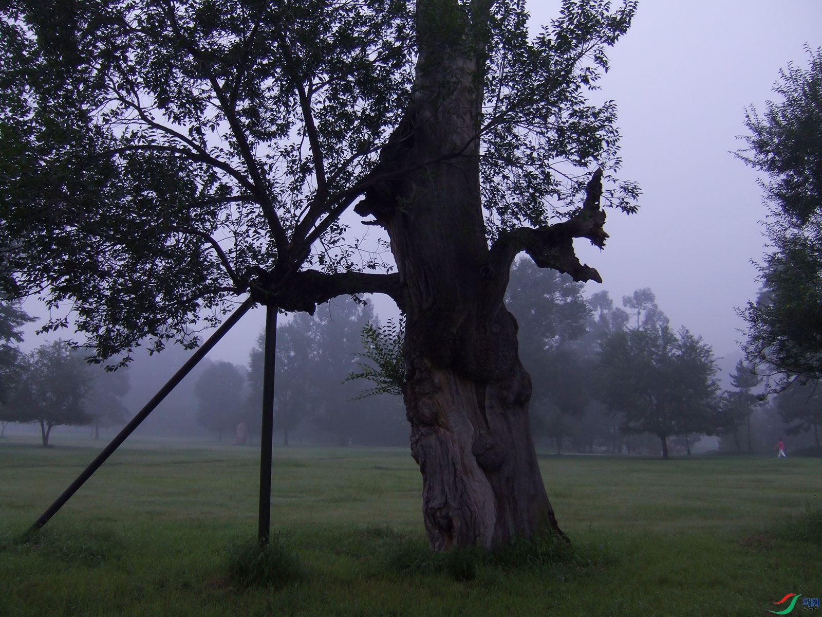 DSCF1571.jpg
