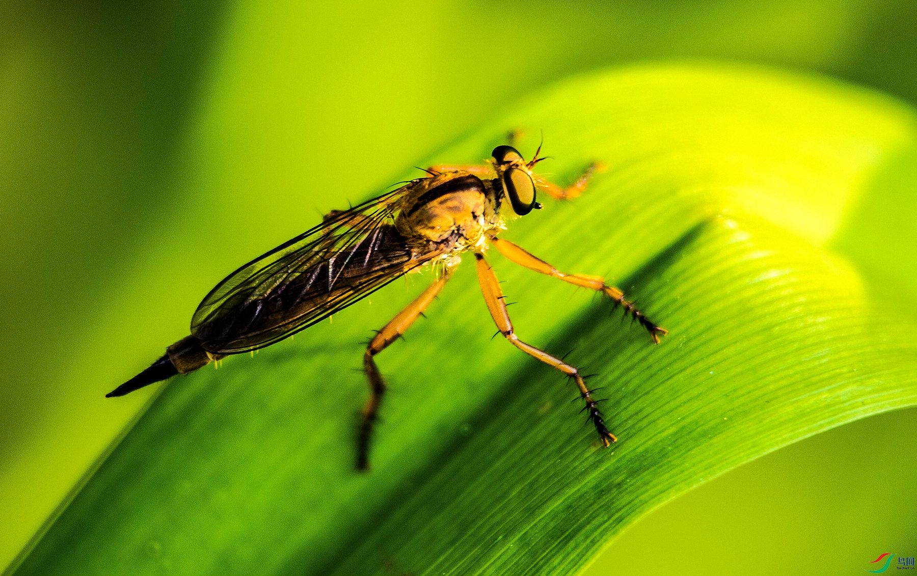 ���� �ǳ���.jpg