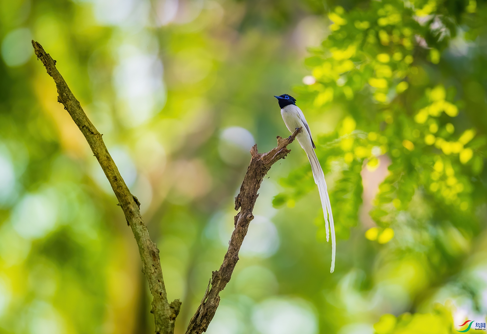 1DX_7513-1.jpg
