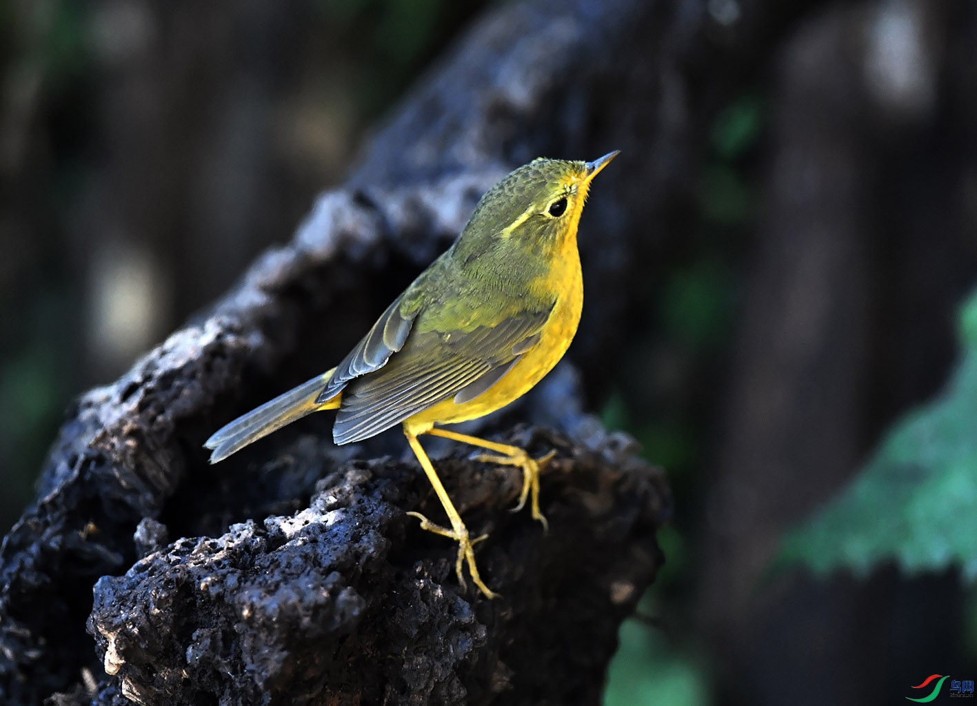 DSC_8074.jpg
