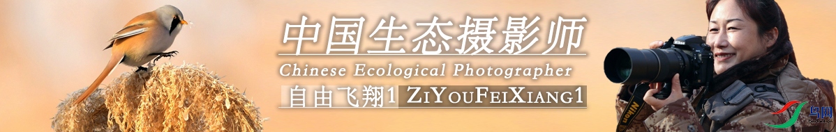 ΢��ͼƬ_20210109122504.jpg