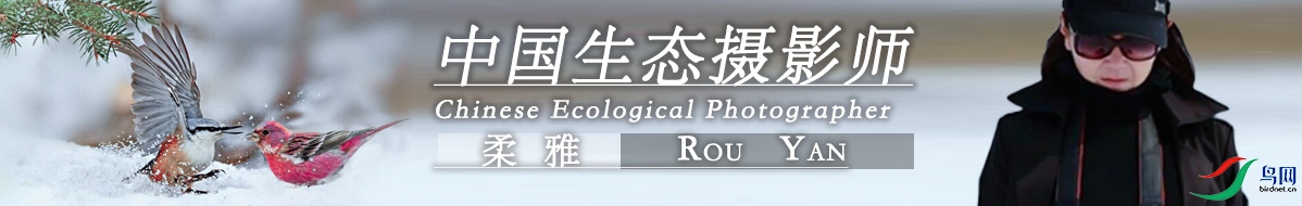 ΢��ͼƬ_20210109122513.jpg
