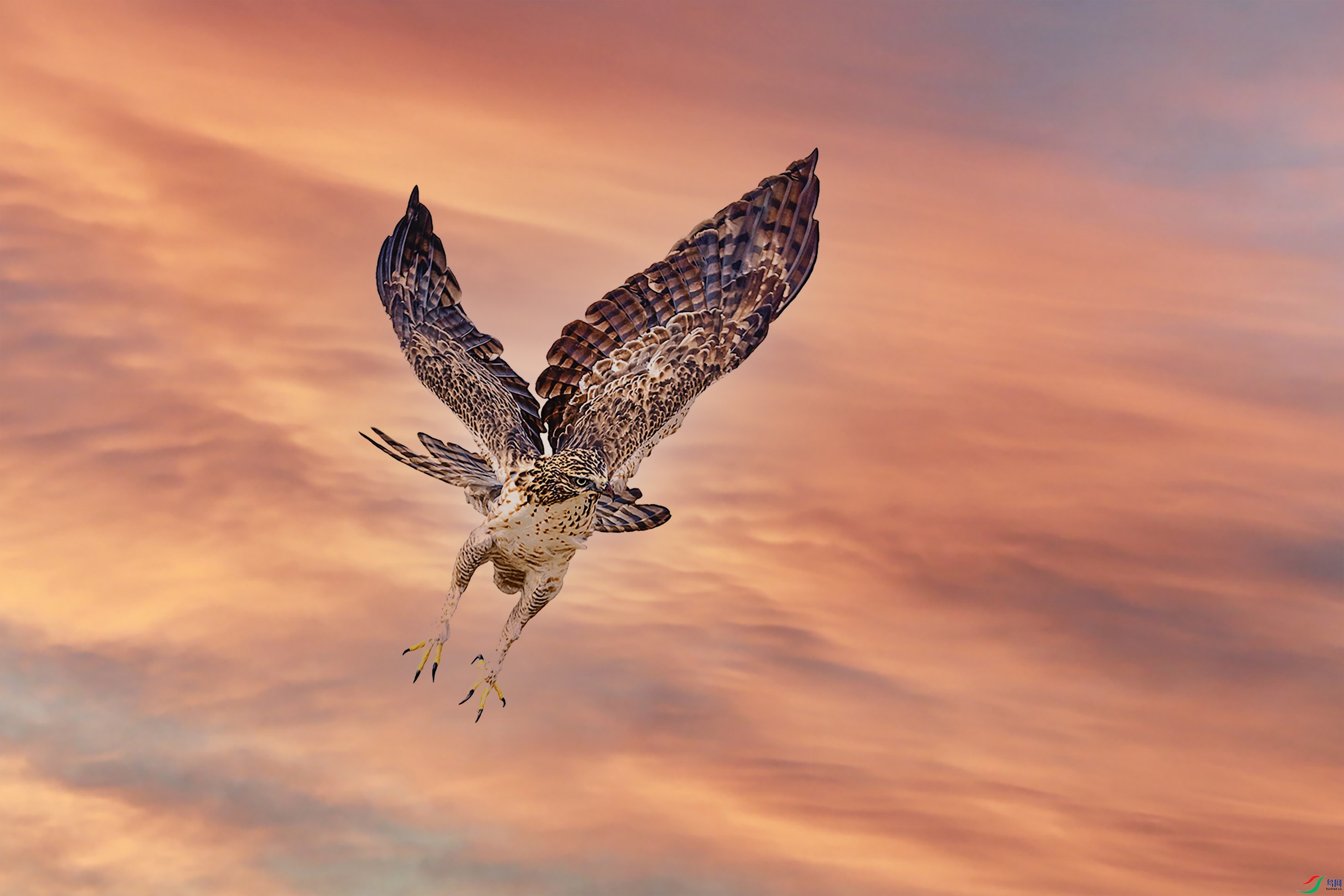 DSC_6973a2-�ָ���5.jpg