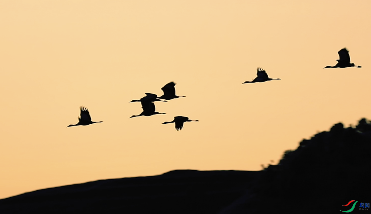 ����2021-01-09 ����1.10.21.png