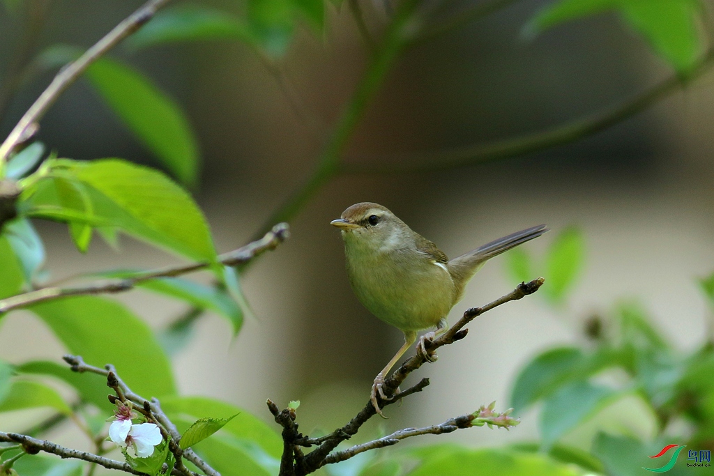 367A9359_����.jpg