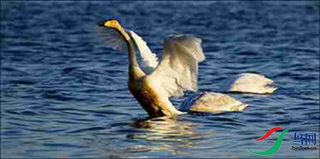 4BK5I3657-9 - 副本.jpg