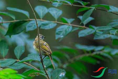 B17P2882 - 副本.jpg