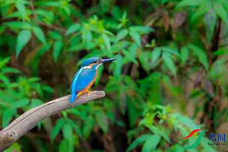 B17P2996 - 副本.jpg