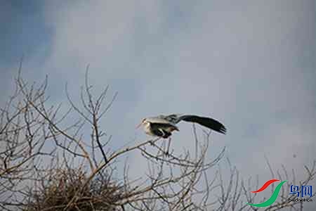 IMG_0017 - 副本.jpg