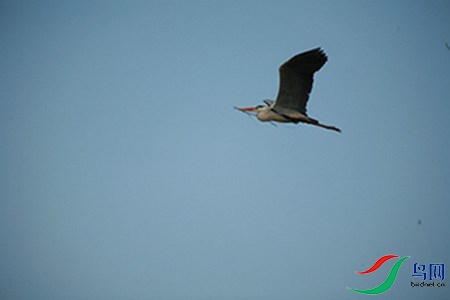 IMG_0091 - 副本.jpg