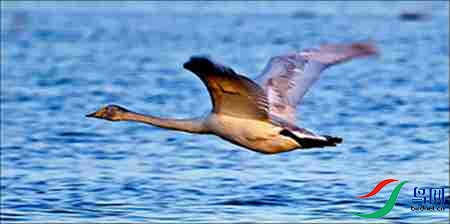 6BK5I3701-13 - 副本.jpg