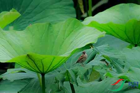 B17P0006 - 副本.jpg