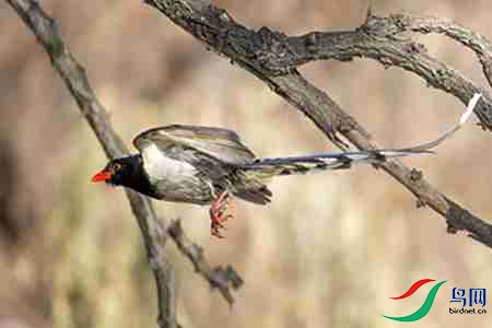 B17P0849-0 - 副本.jpg