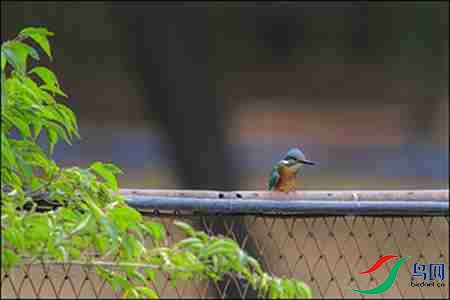 B17P2983-8 - 副本.jpg