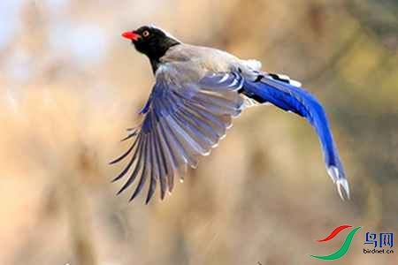 B17P3617 - 副本.jpg