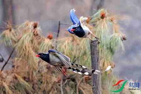 B17P4440 - 副本.jpg