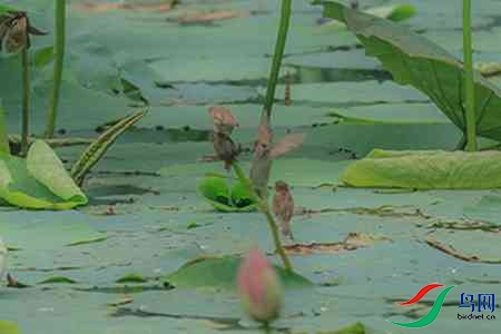 B17P0055 - 副本.jpg