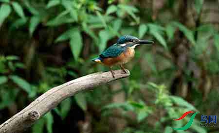 B17P2751 - 副本.jpg